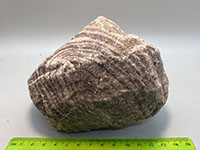 a rock with layered bands of red and light gray quartzite displayed with a U-shaped fold.